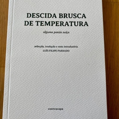 Capa de livro branca com texto em preto descrito