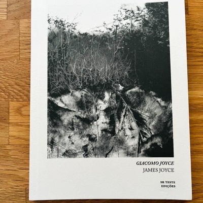 Capa de livro branco com imagem abstrata a preto e branco e texto