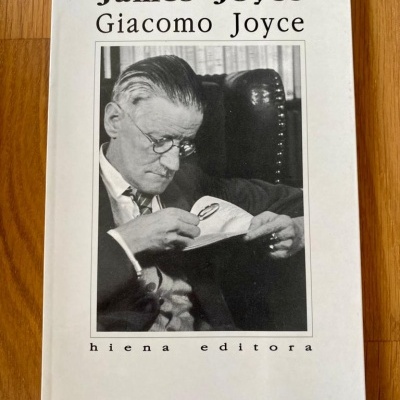 Capa de livro branco com título e fotografia de James Joyce a ler.