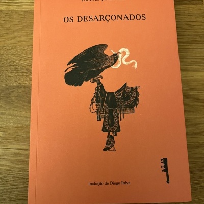 Capa de livro laranja com título e ilustração a preto