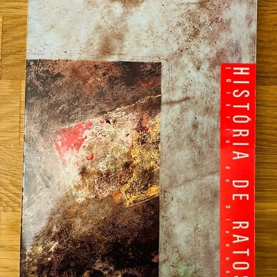 Capa de livro com fundo texturizado e faixa vermelha vertical com texto branco