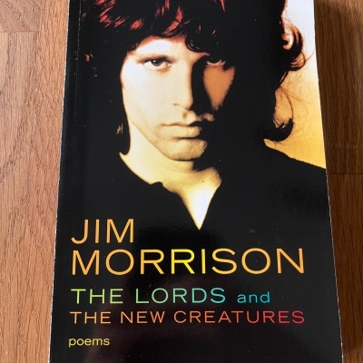 Capa de livro Jim Morrison The Lords and The New Creatures com retrato em tons quentes