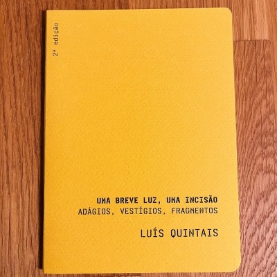 Capa de livro amarela com texto preto sobre superfície de madeira