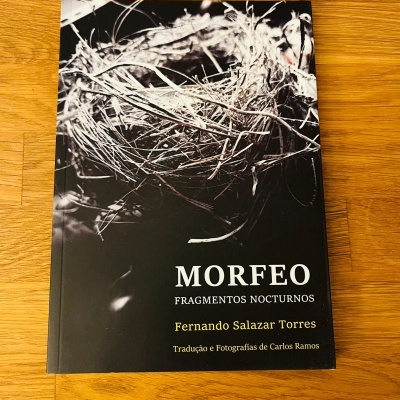 Capa de livro MORFEO com foto de ninho em preto e branco sobre mesa de madeira.