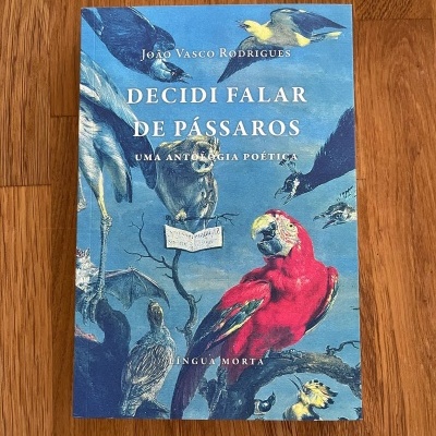 Capa de livro azul com ilustração de pássaros coloridos e título DECIDI FALAR DE PÁSSAROS