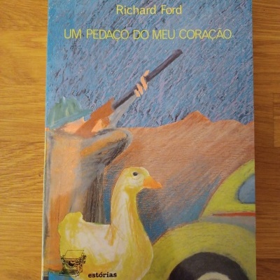 Capa de livro com ilustração de homem com rifle, pato amarelo e carro verde-amarelado