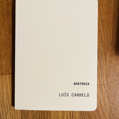 Caderno branco com texto 'ANATOMIA' e 'LUÍS CARMELO' na capa em superfície de madeira.