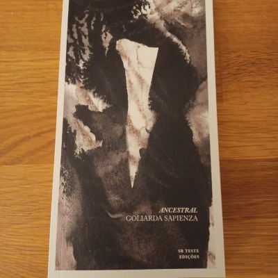 Capa de livro abstrata em preto e cinzento com título e editora