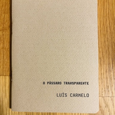Livro cinza com título e autor em texto preto sobre fundo de madeira