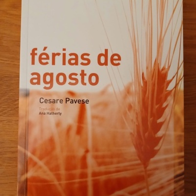 Capa de livro com título 