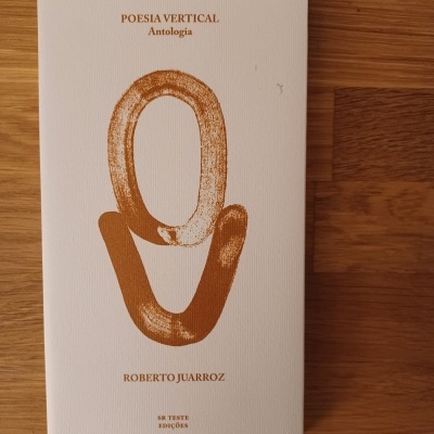 Livro Poesia Vertical Antologia de Roberto Juarroz com capa branca e desenho castanho sobre madeira