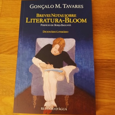 Capa do livro 'Breves Notas Sobre Literatura-Bloom' de Gonçalo M. Tavares