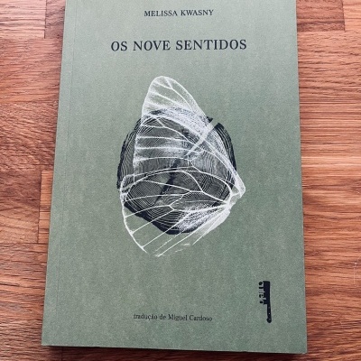 Livro 'OS NOVE SENTIDOS' de capa verde com ilustração abstrata, situado sobre mesa de madeira