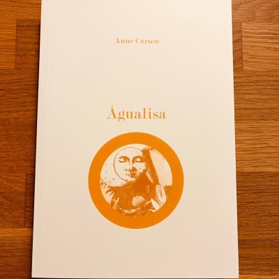 Livro Águalisa de capa branca com título e autor em dourado e ilustração laranja circular na capa