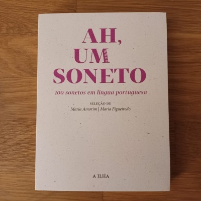 Capa de livro branco com título e texto em rosa e preto sobre mesa de madeira clara