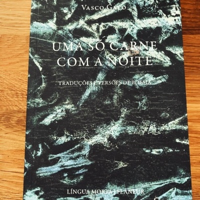 Livro 'Uma Só Carne com a Noite' de Vasco Gato com capa abstrata em preto, branco e verde sobre mesa de madeira.