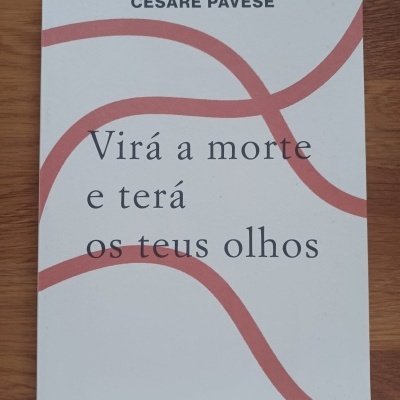 Capa de livro branco com título e autor, com linhas vermelhas onduladas no fundo