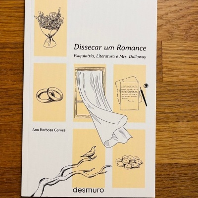 Capa do livro 'Dissecar um Romance' sobre fundo de madeira.