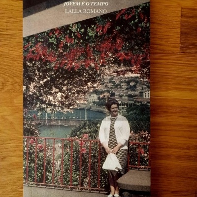 Capa de livro com mulher em varanda com vista para cidade e rio