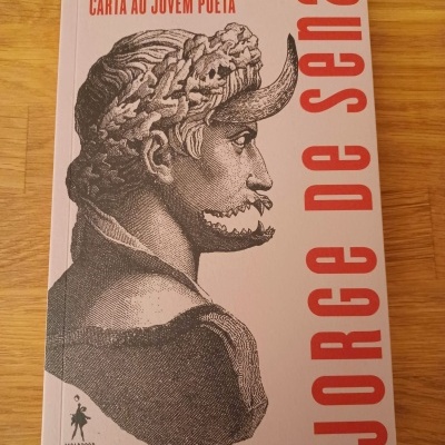 Capa de livro rosa com ilustração e texto vermelho e preto