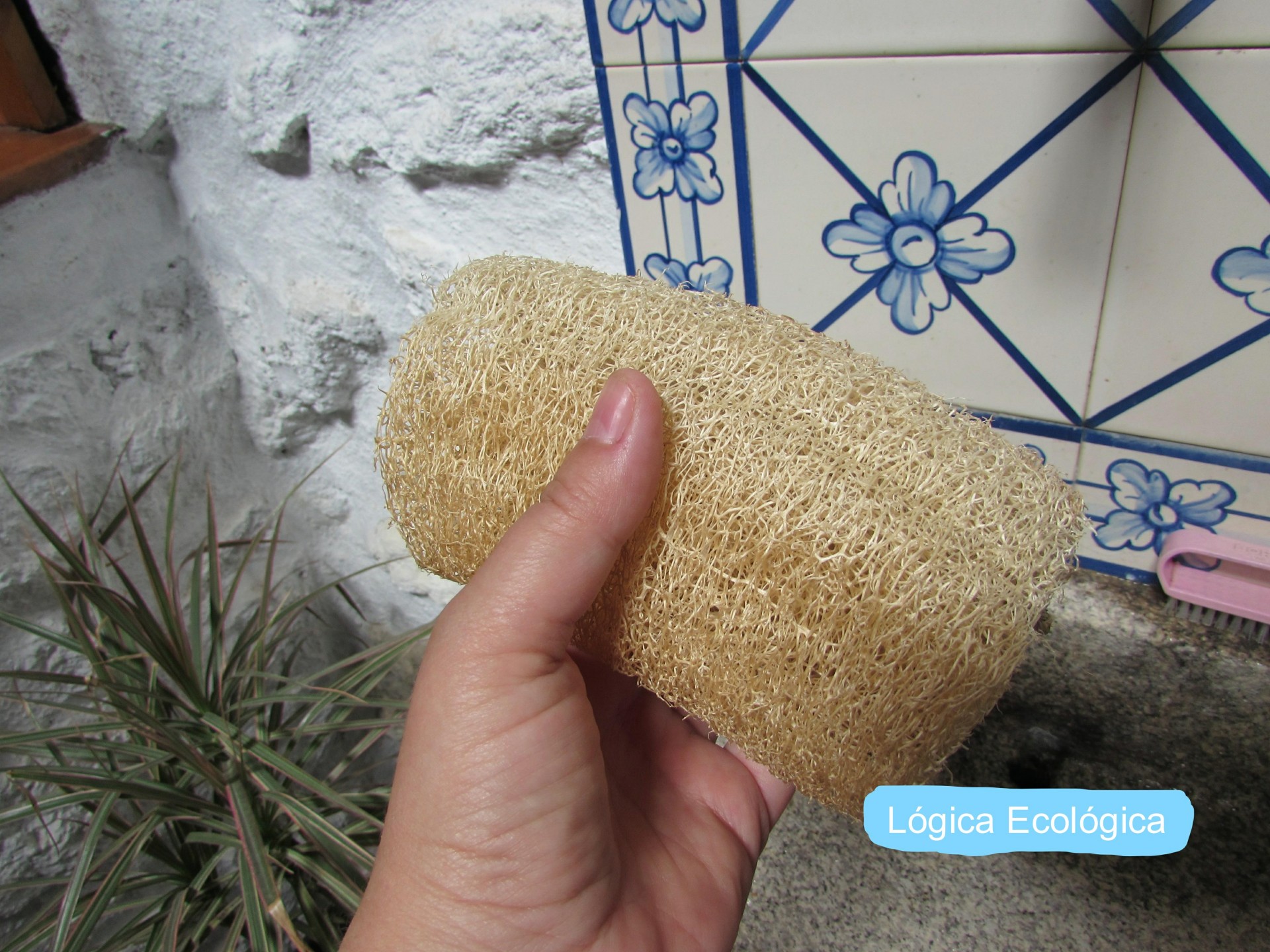 Pessoa segurando esfregão natural bege frente a azulejos decorados em parede