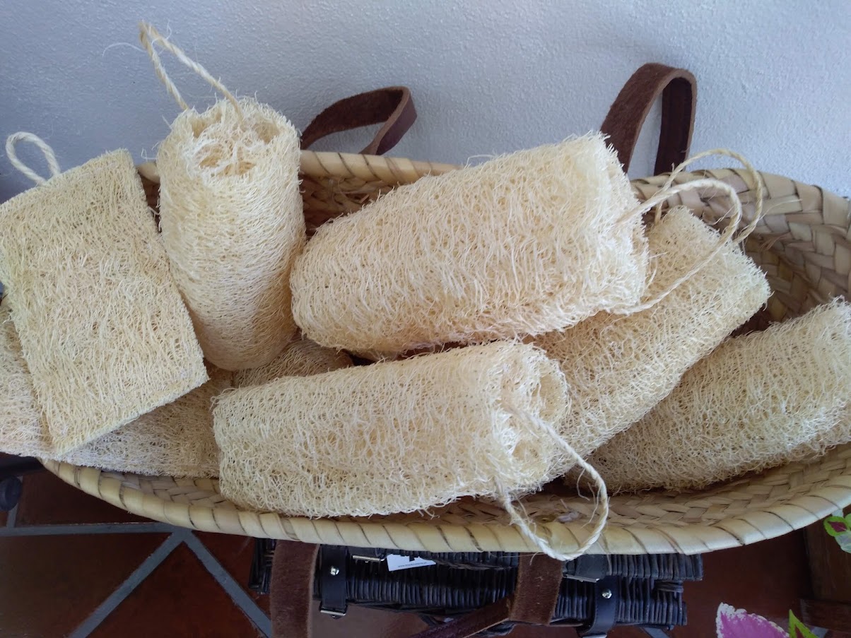 Esponjas naturais bege com textura fibrosa numa cesta de palha