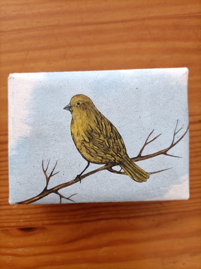 Caixa com ilustração de pássaro amarelo numa árvore