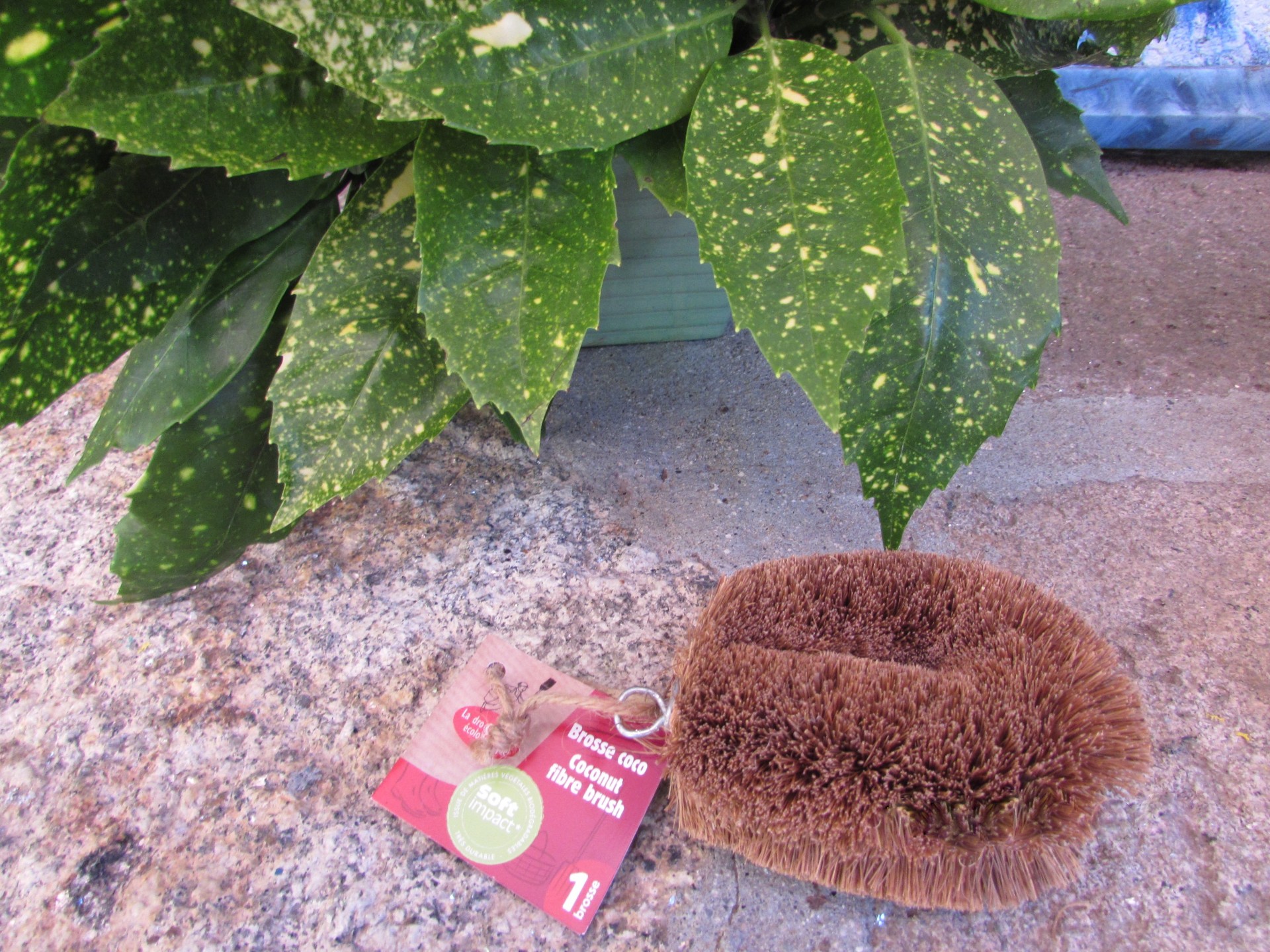 Escova de banho marrom com etiqueta, em superfície de pedra, junto a planta com folhas verdes e amarelas