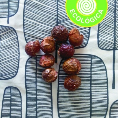 Nozes de saponária - a alternativa natural aos detegentes químicos Bolotas castanhas secas sobre tecido branco com padrão de folhas azuis e selo LÓGICA ECOLÓGICA