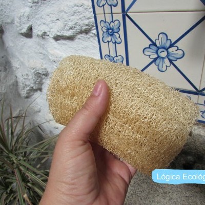 Pessoa segurando esfregão natural bege frente a azulejos decorados em parede