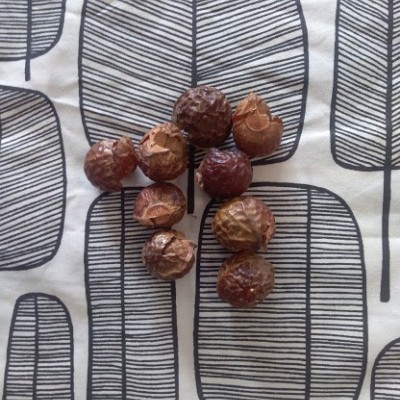 Nozes com casca sobre tecido branco com padrão de folhas pretas