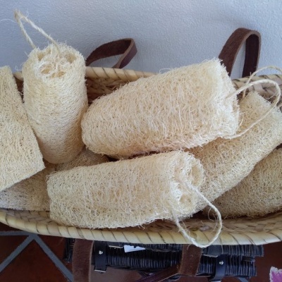 Esponjas naturais bege com textura fibrosa numa cesta de palha