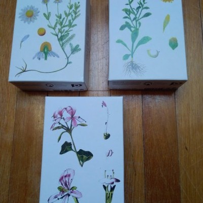 caixa&#x20;com&#x20;8&#x20;mini&#x20;sabonetes