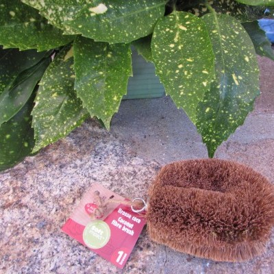 Escova de banho marrom com etiqueta, em superfície de pedra, junto a planta com folhas verdes e amarelas