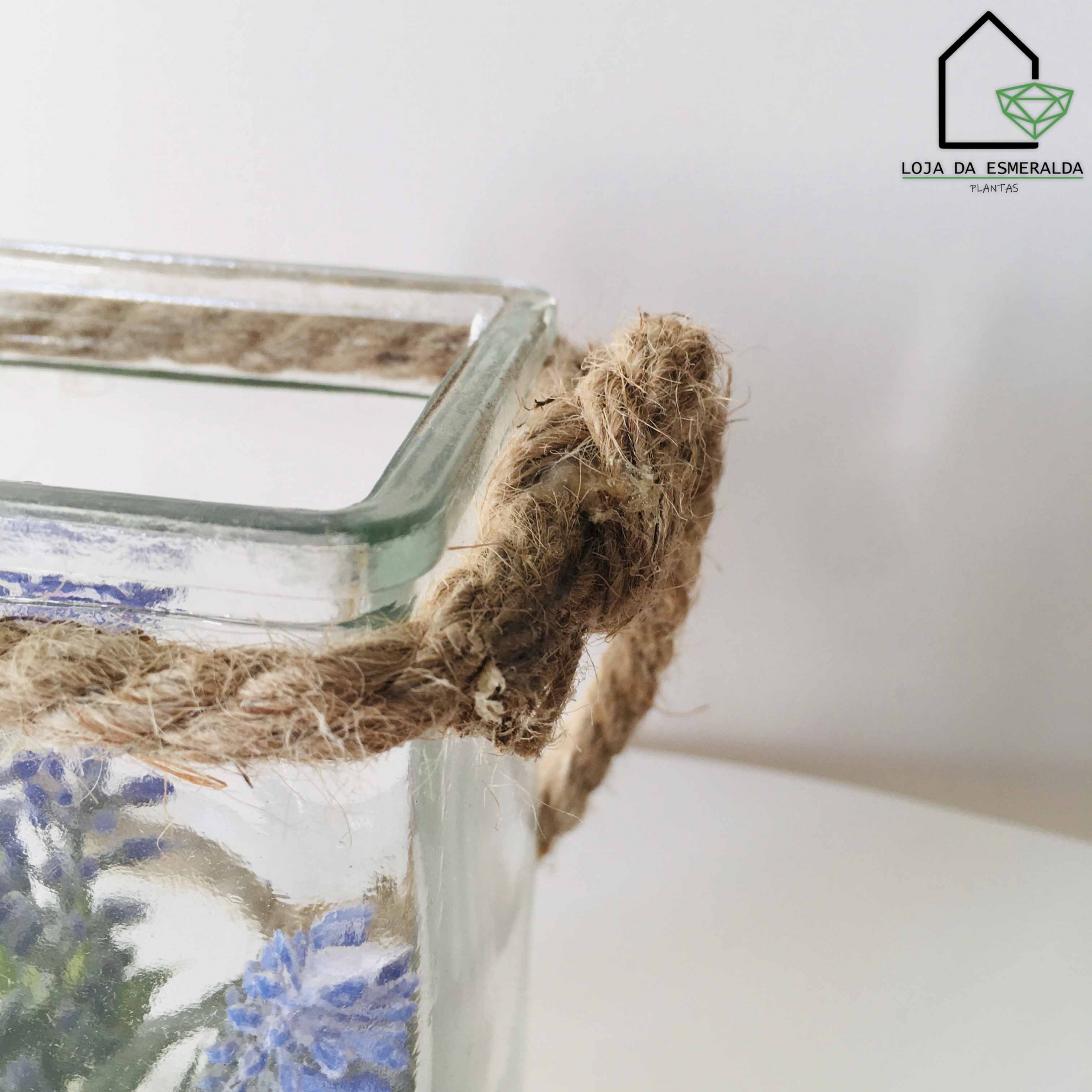 Frasco de vidro com alça de corda e flores azuis em fundo branco