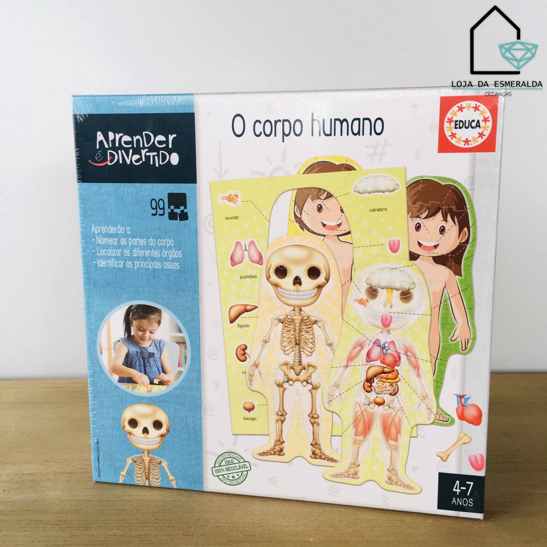 Jogo educativo Aprender e Divertido sobre o corpo humano para crianças 4-7 anos