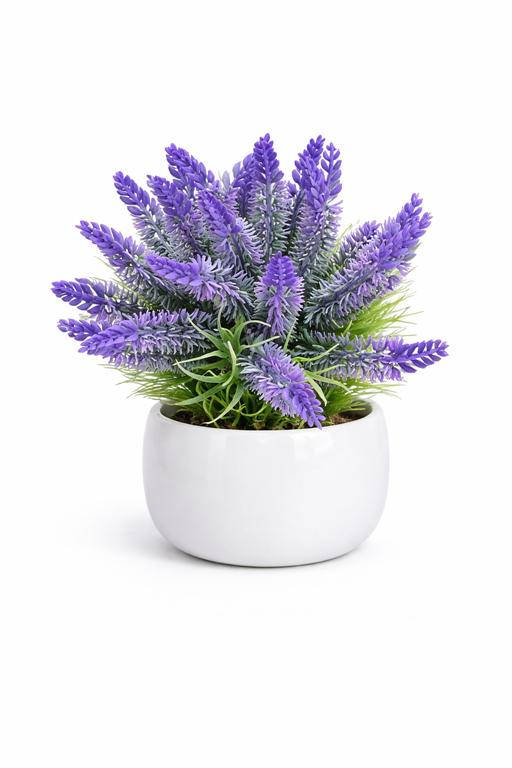 Planta artificial ou natural de lavanda em vaso branco