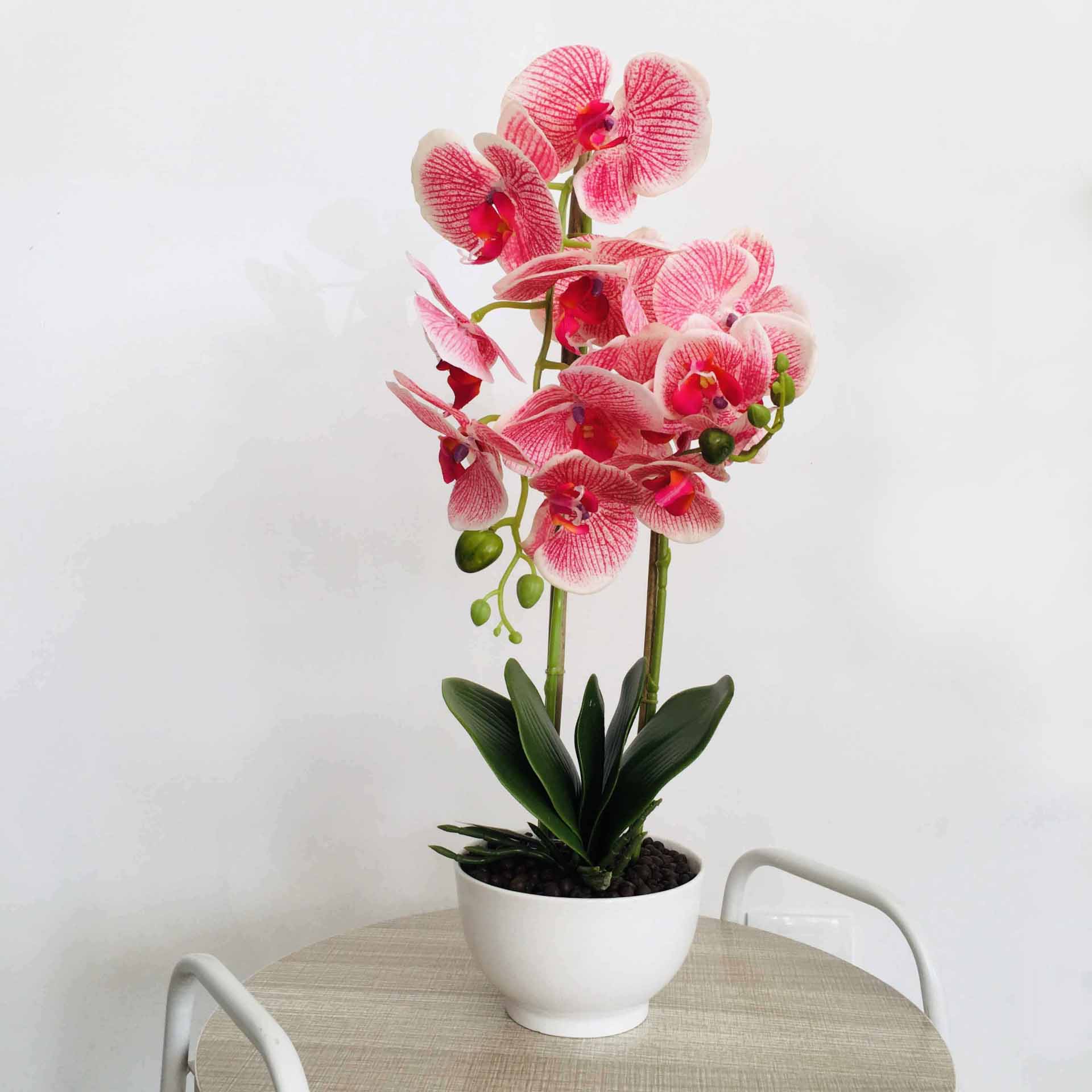 Orquídea rosa em vaso branco sobre mesa redonda clara e estrutura metálica branca