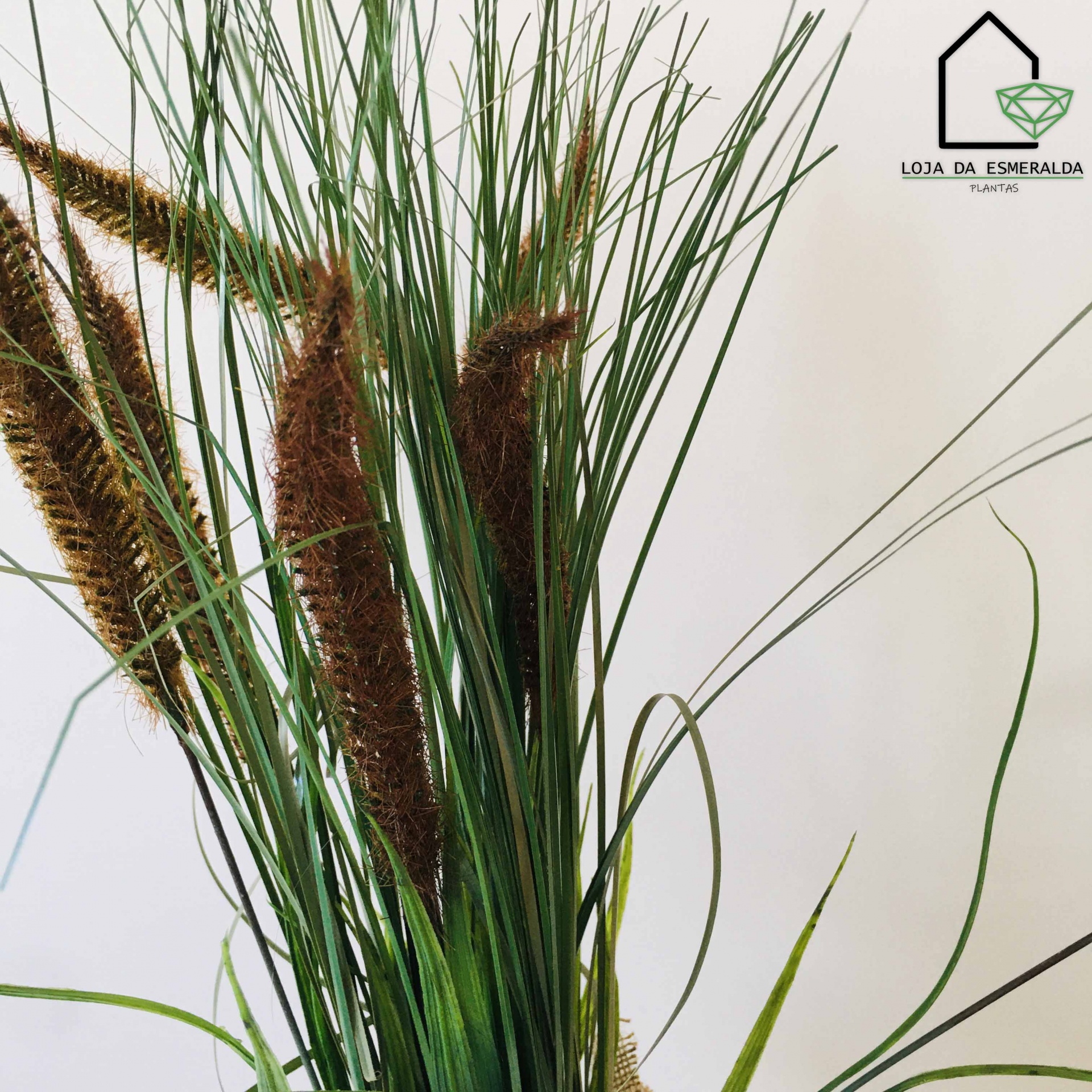 Arranjo de plantas artificiais verdes com espigas castanhas e logotipo Loja da Esmeralda