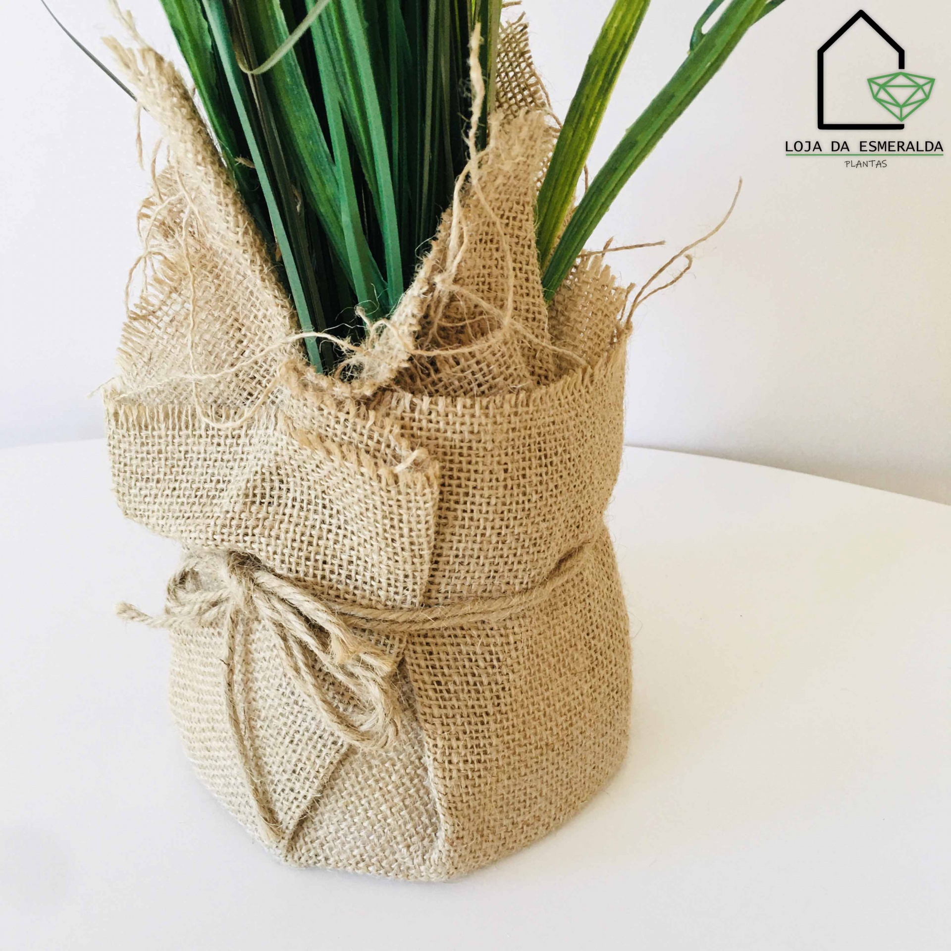 Vaso com saco de juta contendo plantas verdes e logo LOJA DA ESMERALDA PLANTAS