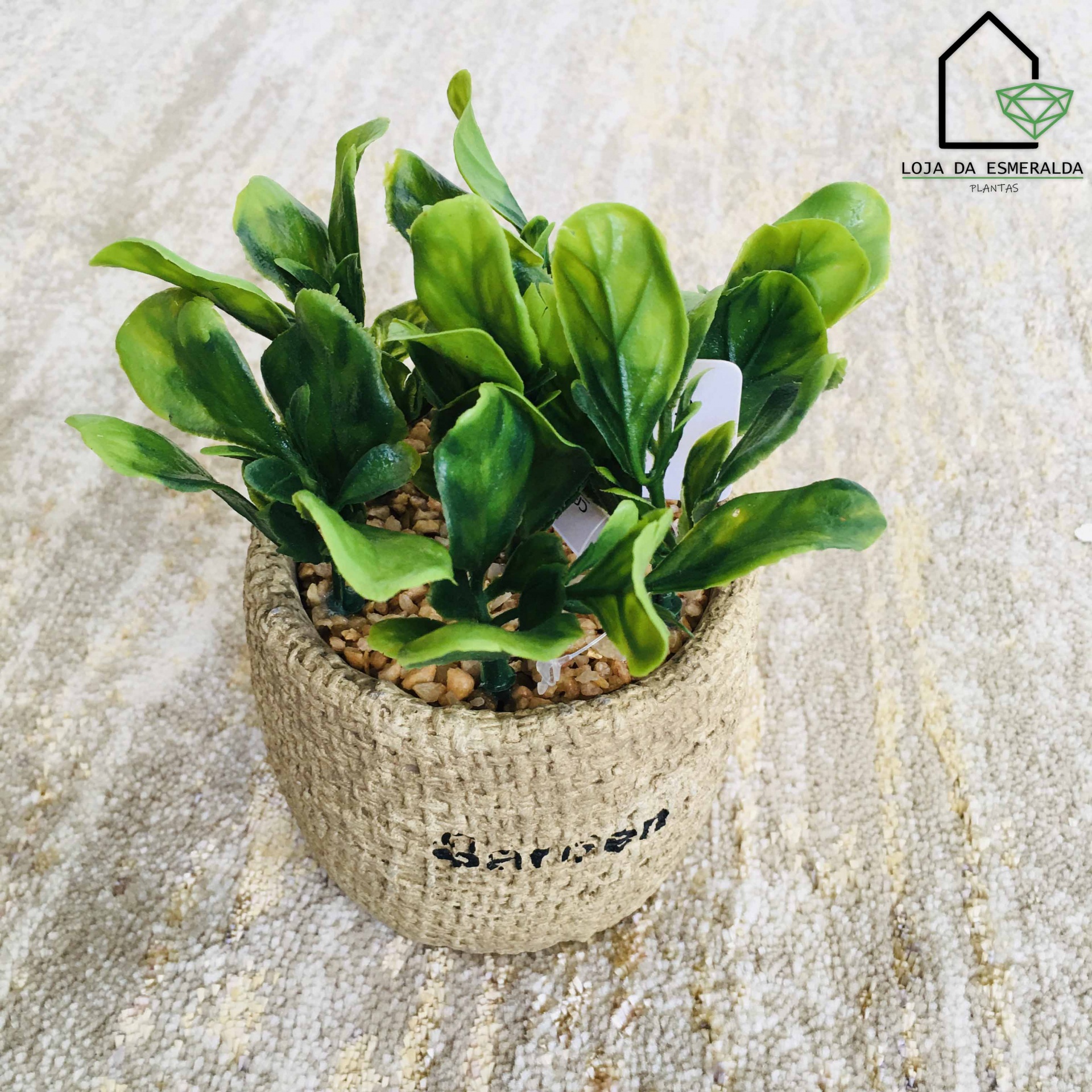 Vaso de planta com revestimento de juta e folhas verdes sobre tapete cinza