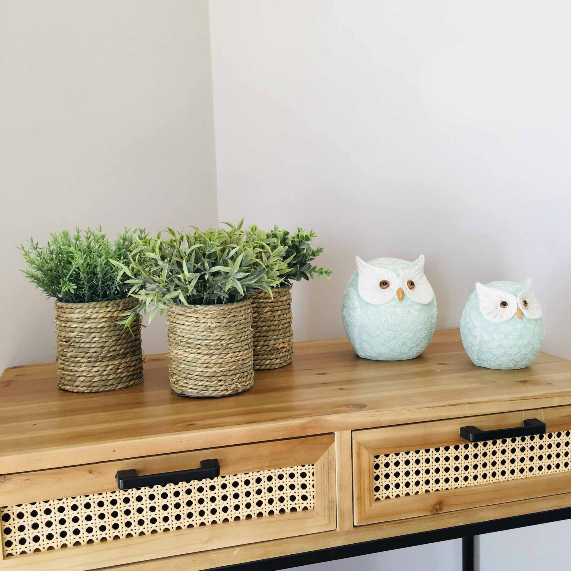 Mesa de madeira com vasos de corda e corujas decorativas