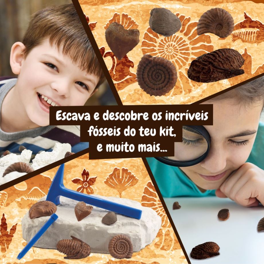 Crianças a usar kit de fósseis com ferramentas e fósseis variados em fundo com padrão de amonites