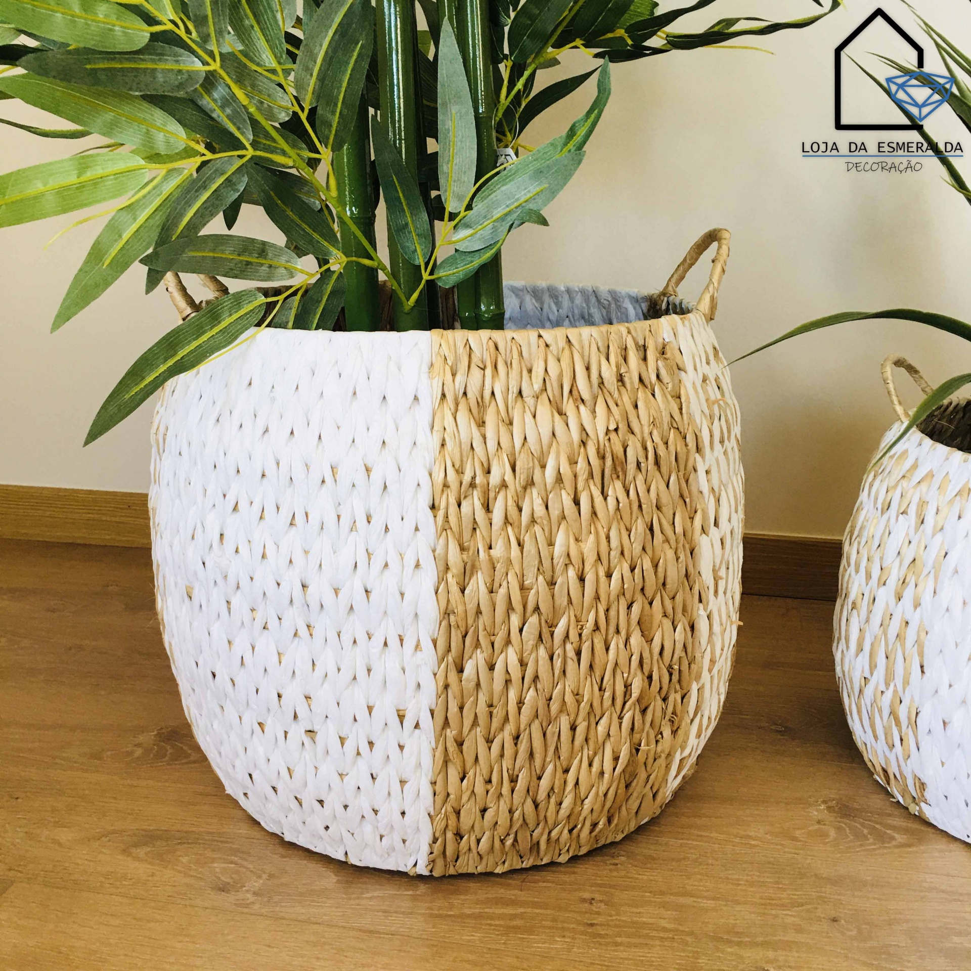 Cesto trançado bicolor branco e natural com plantas em chão de madeira