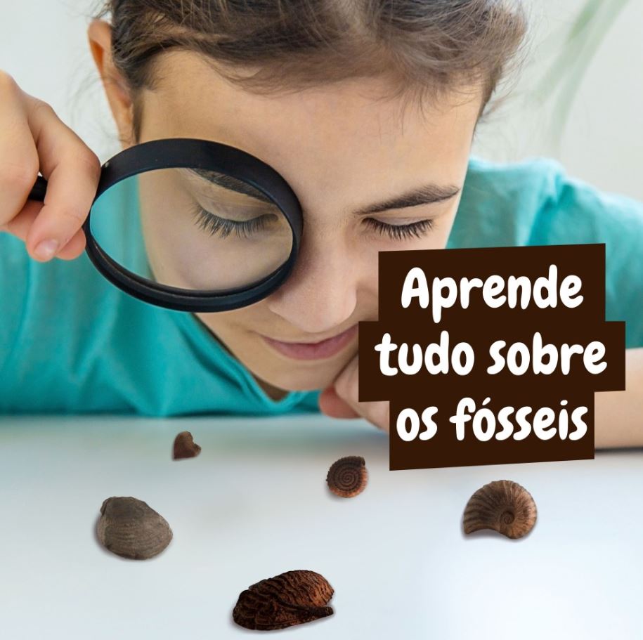 Menina observa fósseis com lupa com texto 