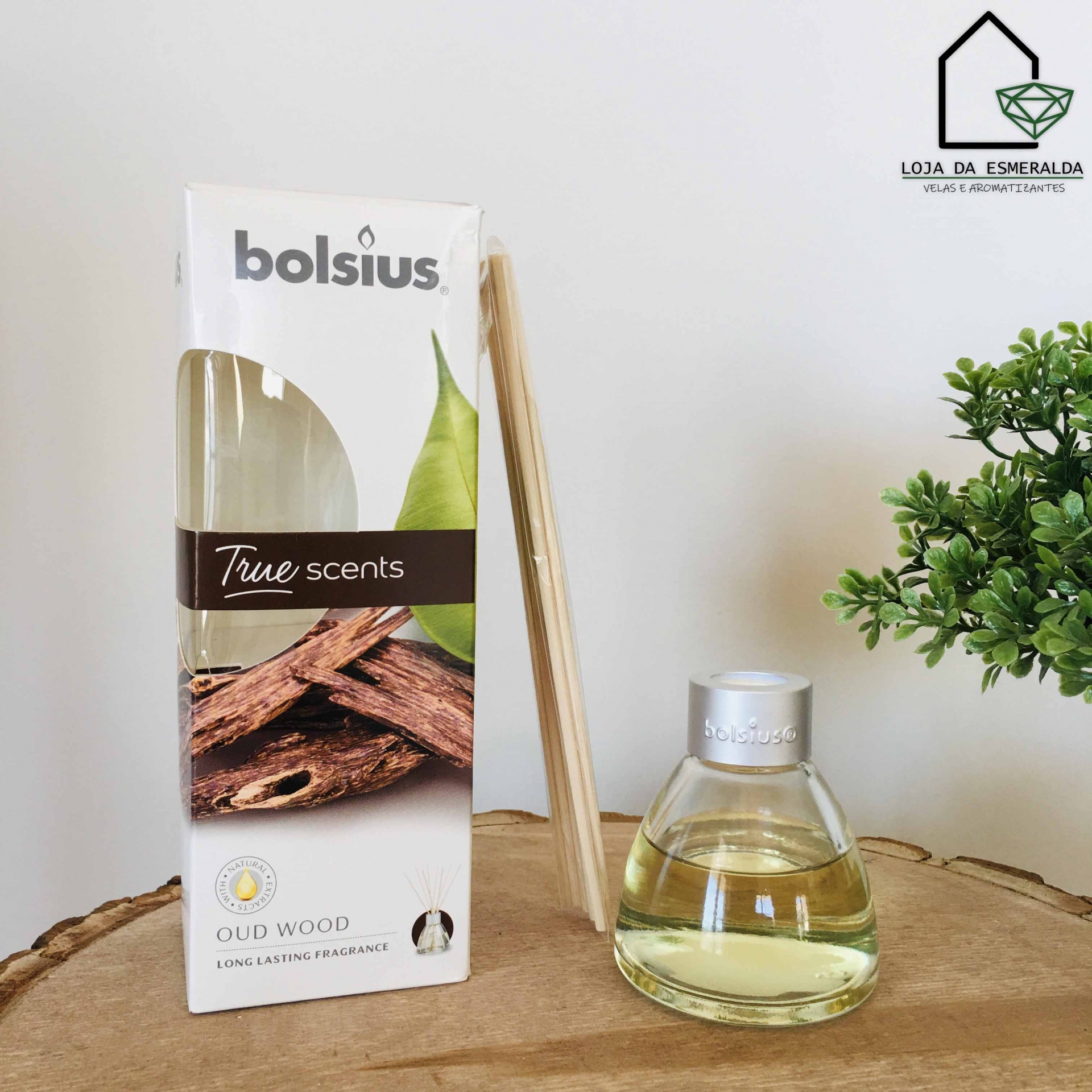 Difusor de ambiente Bolsius True Scents Oud Wood com varetas em superfície de madeira e planta verde.