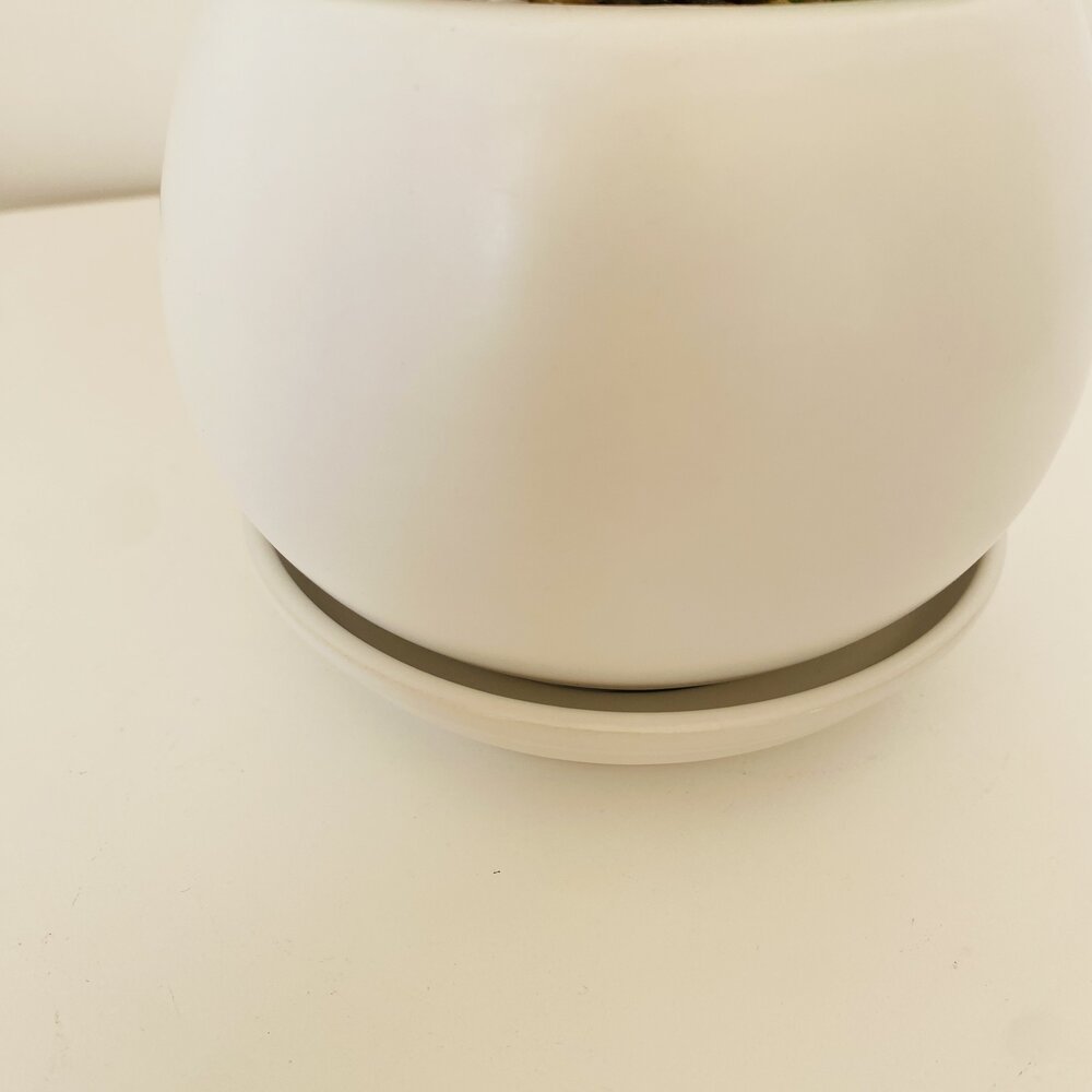 Vaso branco cilíndrico com prato branco em superfície branca