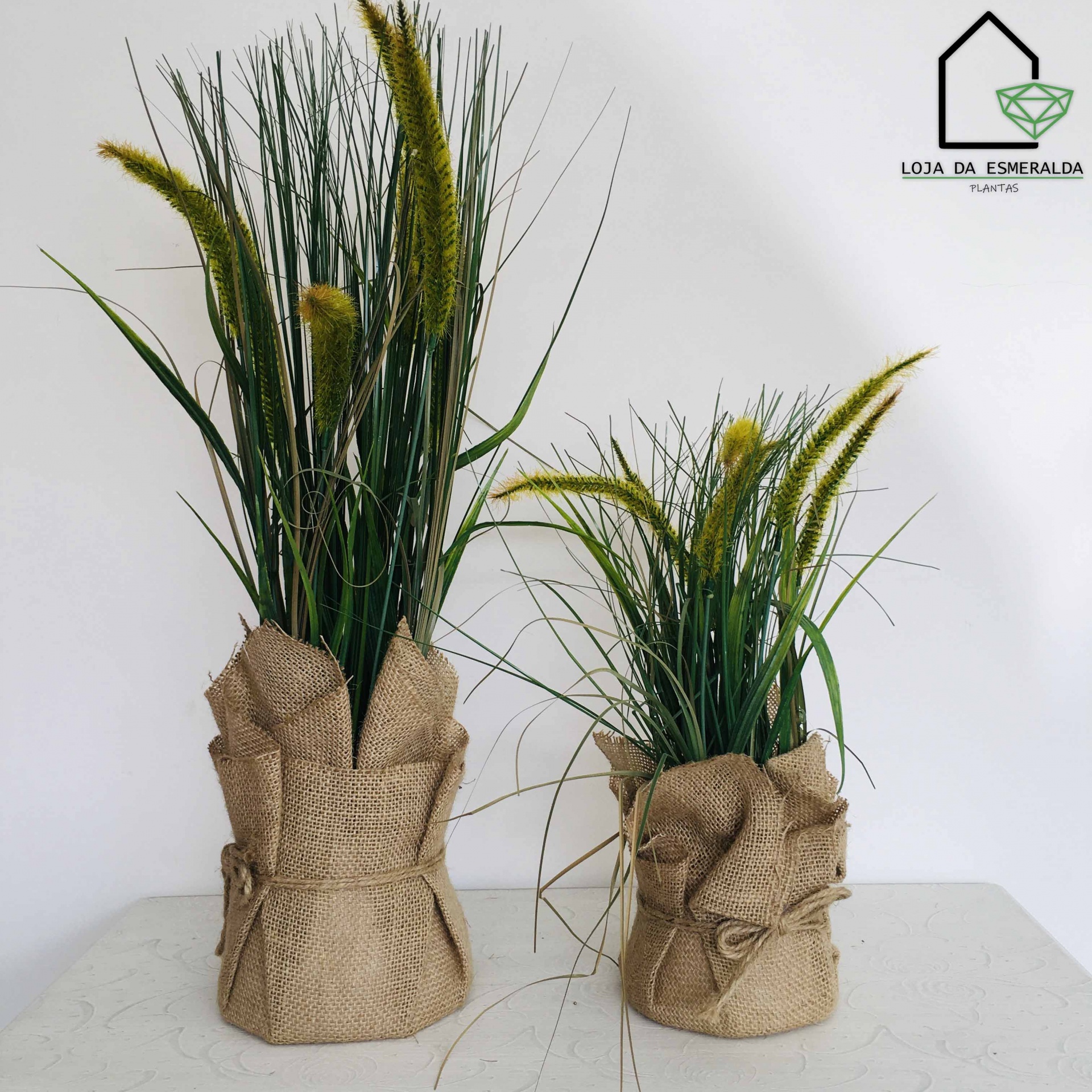 Duas plantas decorativas em vasos com tecido rústico castanho em fundo branco com logótipo da loja