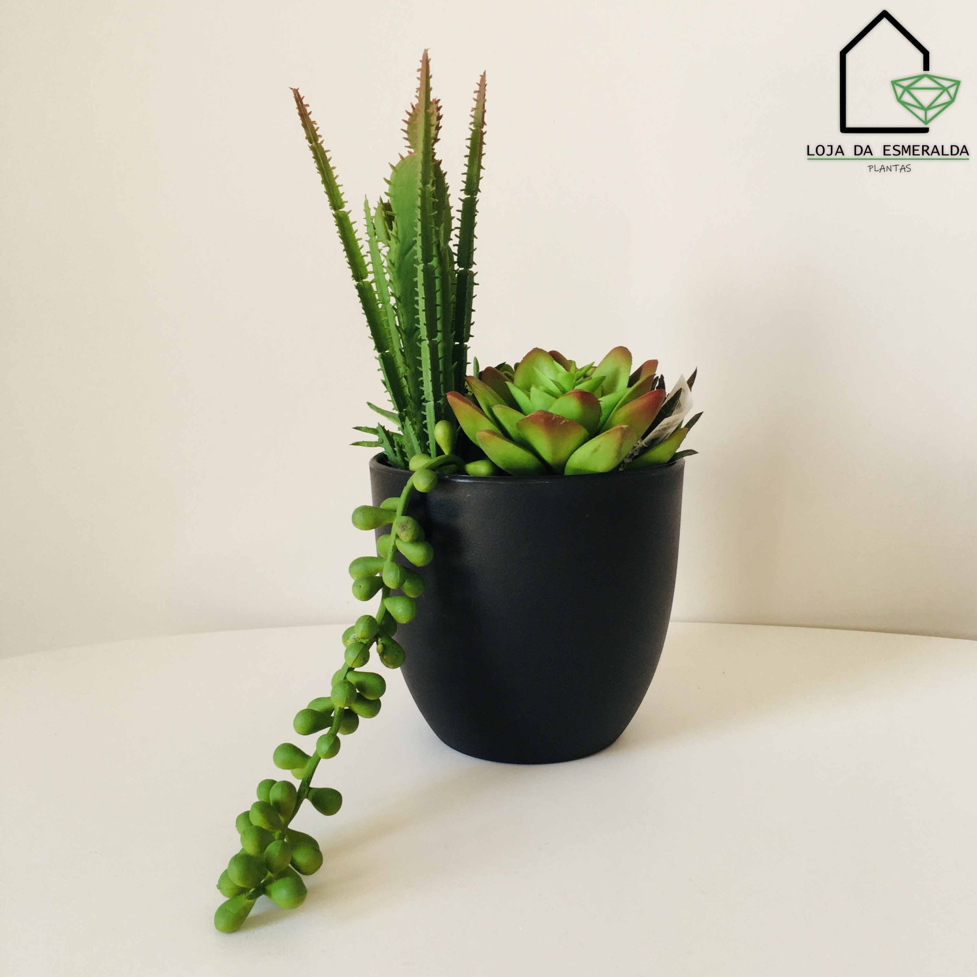 Vaso preto com plantas suculentas artificiais em fundo branco e parede clara com logótipo