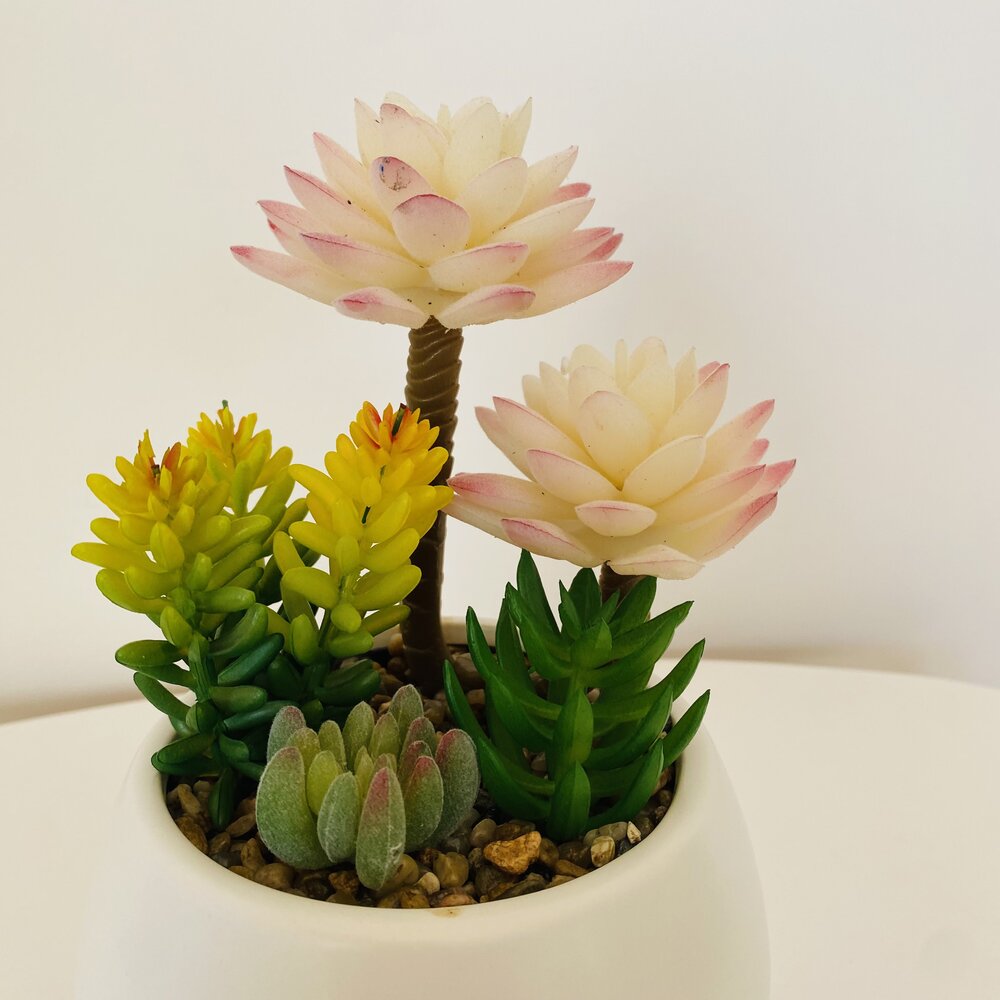 Vaso branco com suculentas artificiais coloridas